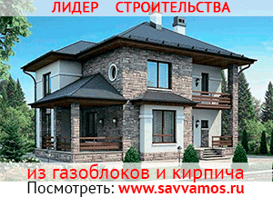 Дома из газоблоков и кирпича
